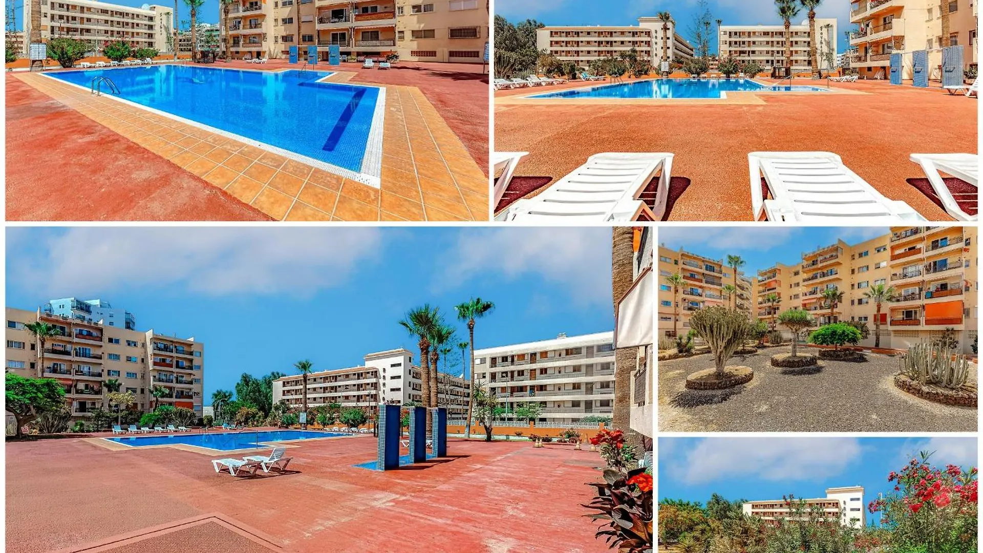 Tenerifeopenhome Holiday Apartment On The Beach Arona   Arona (Tenerife)